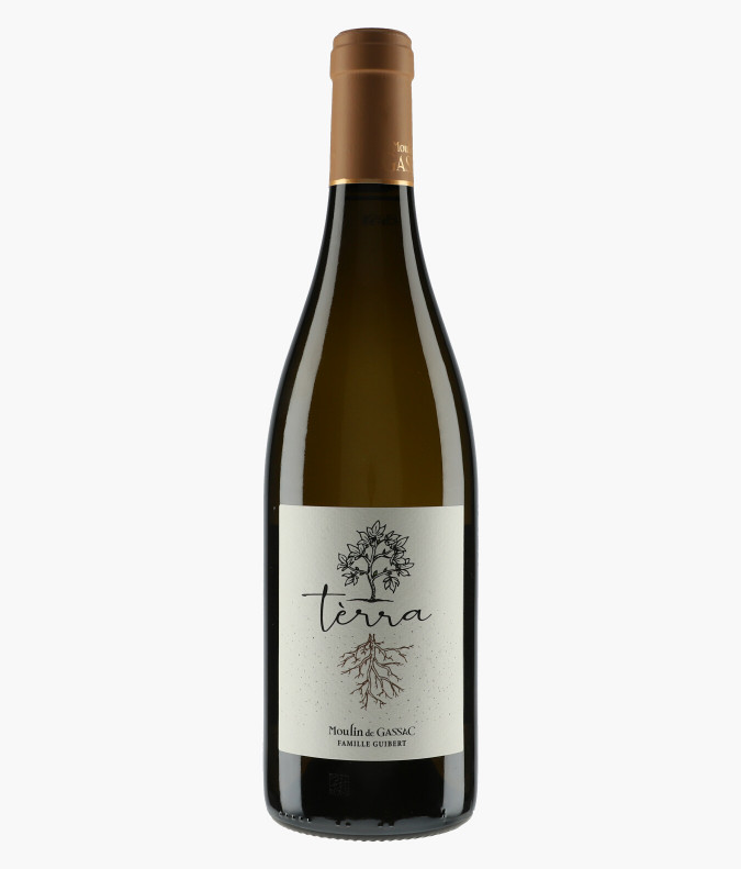 Terra Blanc 2022MOULIN DE GASSAC
