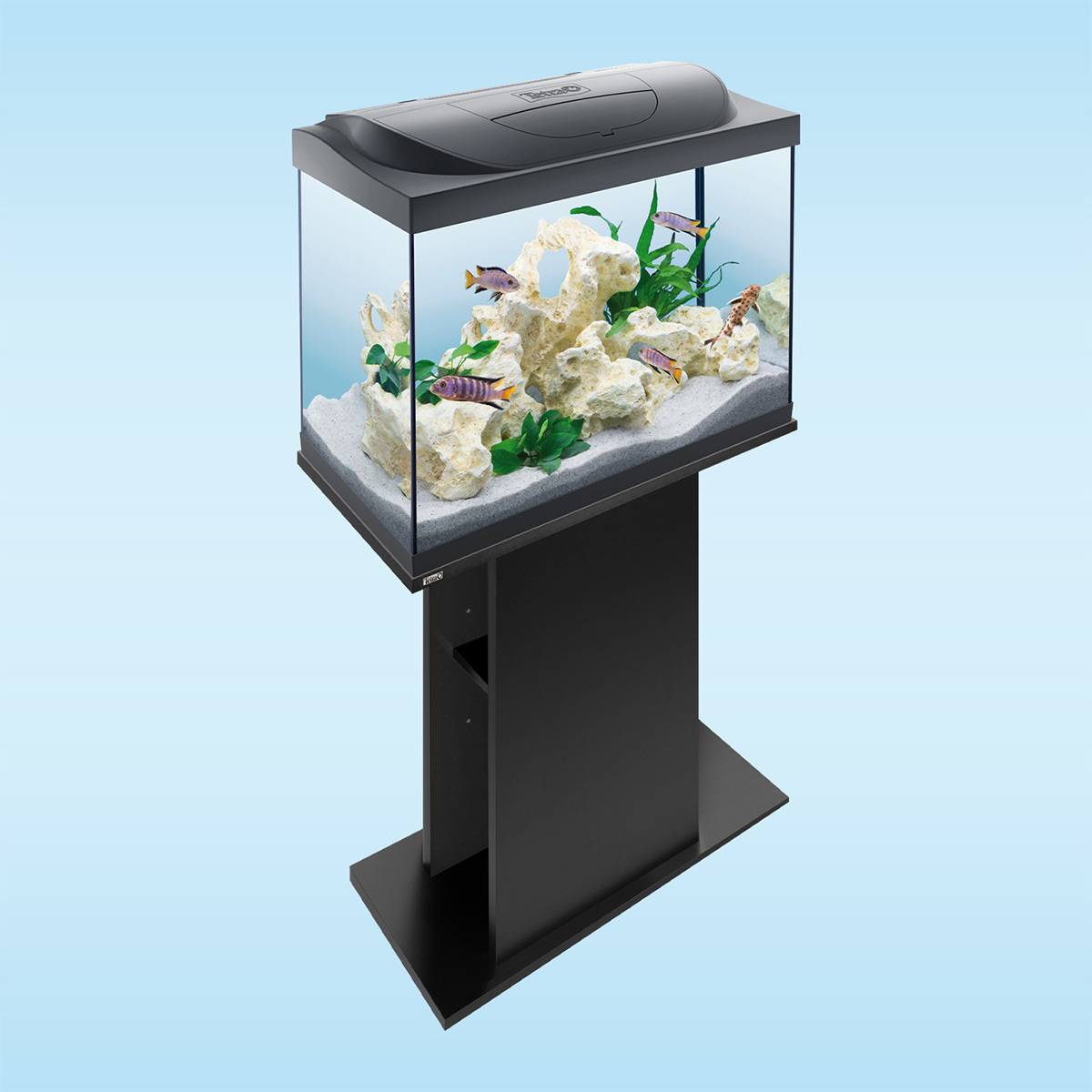 Tetra Starter Line LED Aquarium 80L günstig kaufen
