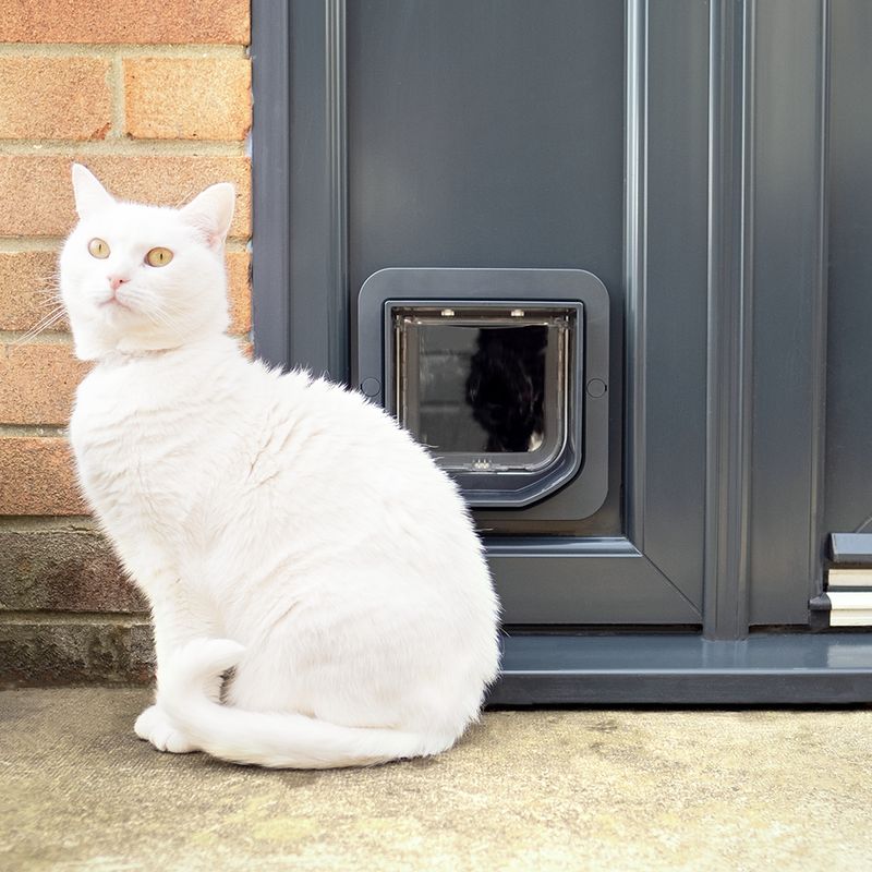 SureFlap Katzenklappe mit Chip zu TOP-Preisen
