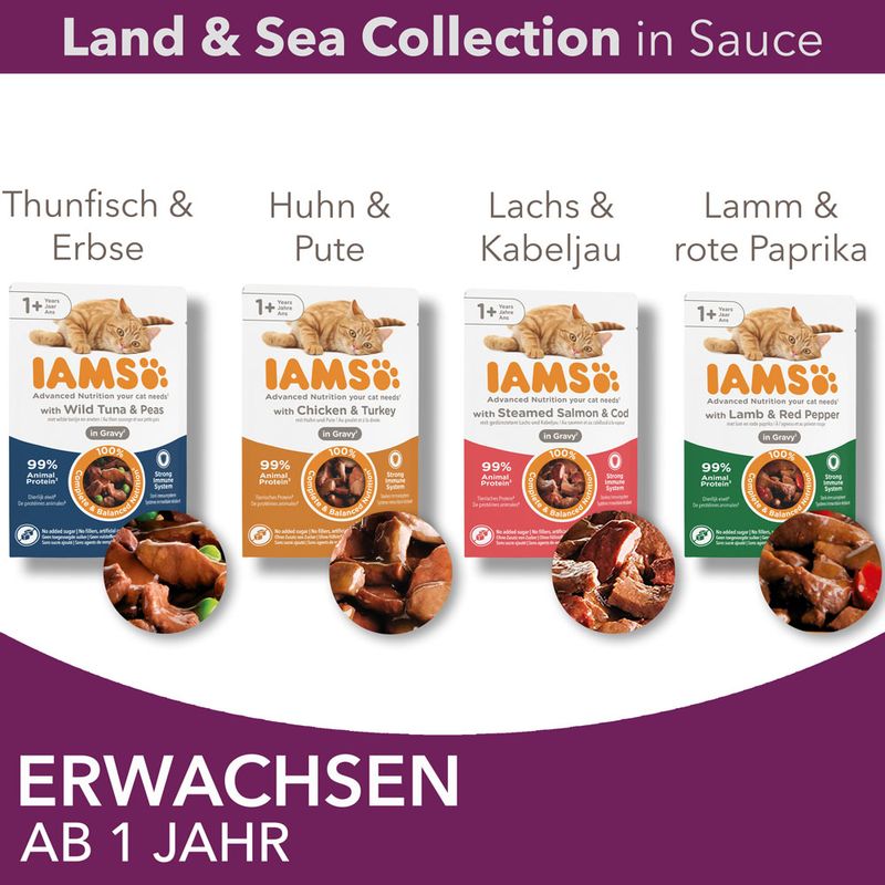 IAMS Delights Adult Land & Sea Mix zu TOP-Preisen