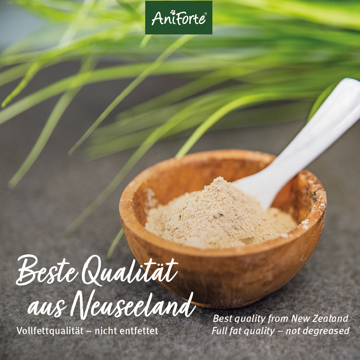 Aniforte Ergänzungsfutter & Aufzucht Aniforte Grünlippmuschelpulver Vollfettqualität 500 g