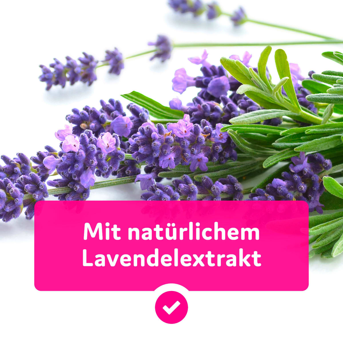 Insektenschutzspray Family, 75 ml
