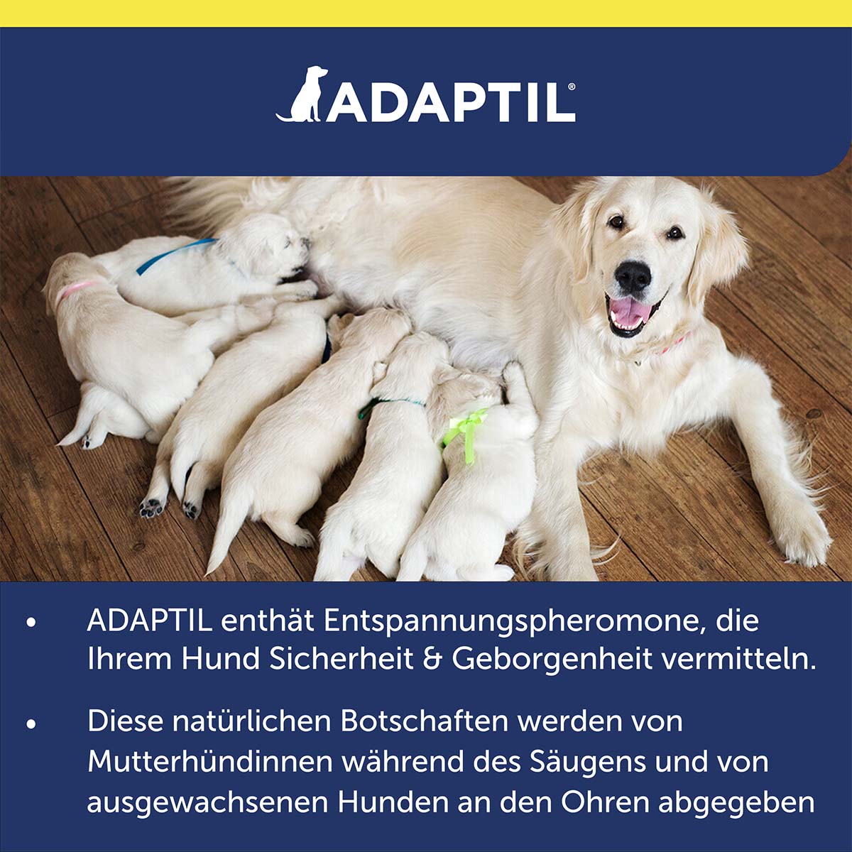 Pheromonspray zur Entspannung bei Hunden in Transportsituationen.