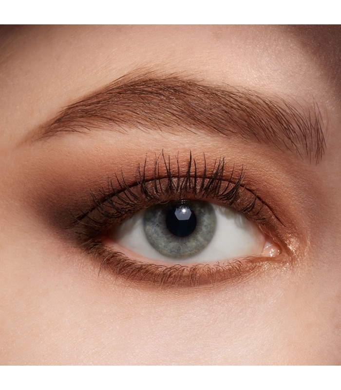 Estée Lauder-PURE COLOR ENVY-Ombres à Paupières Sculptantes