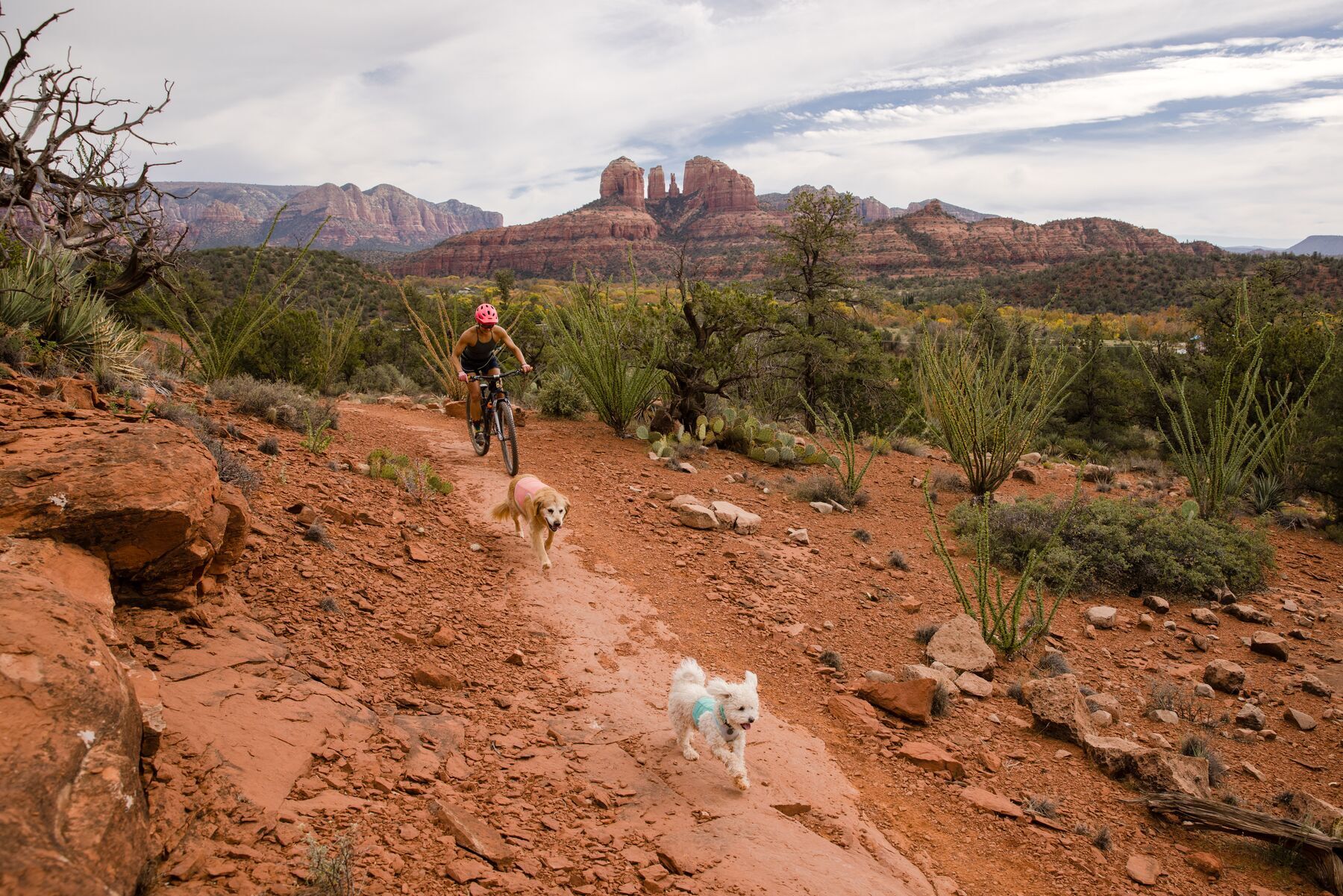Ruffwear Hundewesten Ruffwear Swamp Cooler Zip™ Kühlweste für Hunde pink S