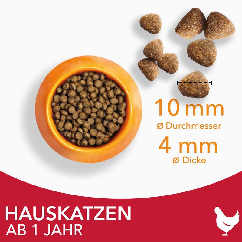 IAMS Advanced Nutrition Indoor Cat mit Huhn