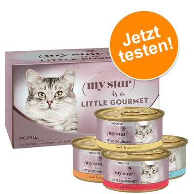 4 x 85 g My Star Mousse Gourmet Probiermix