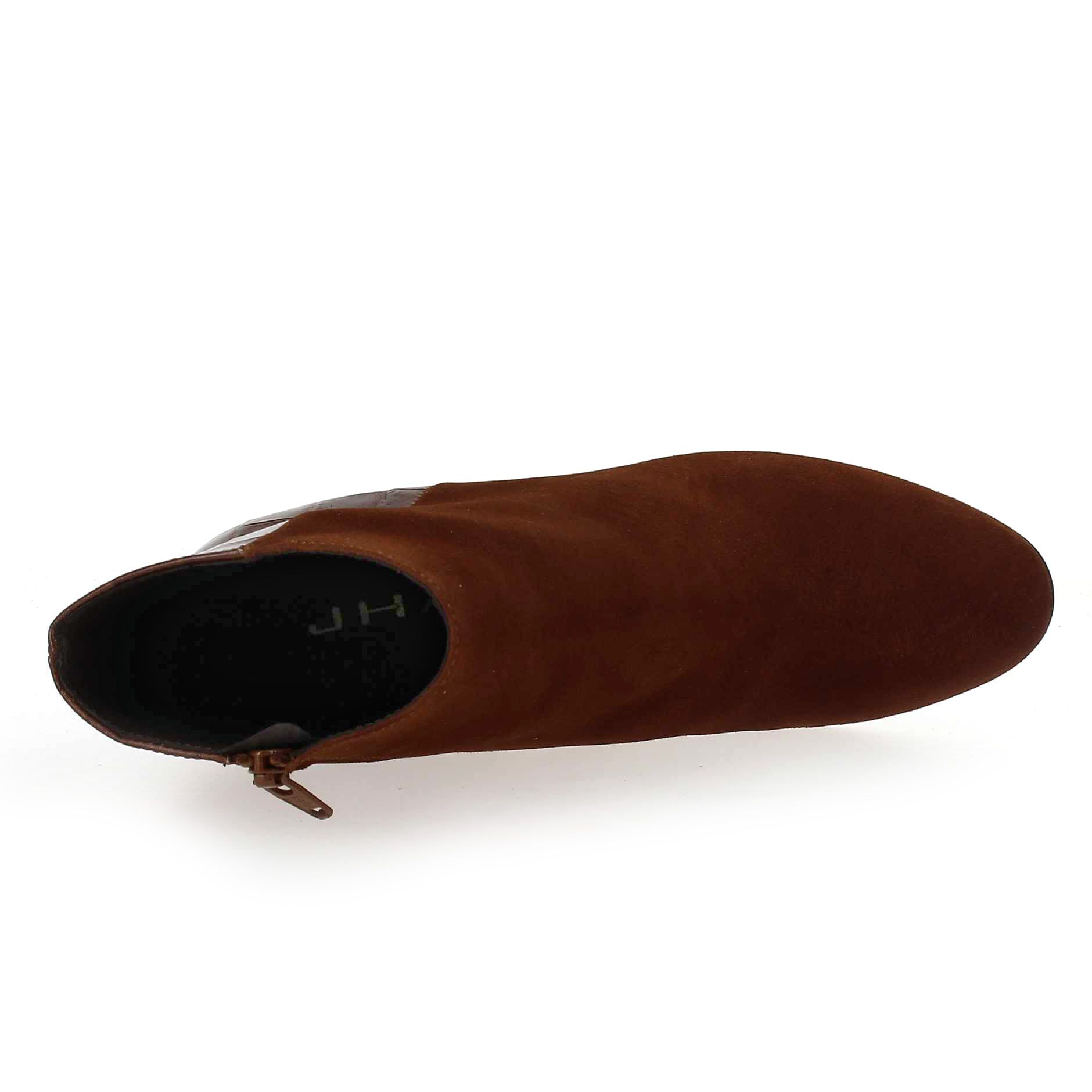 J Hay  2880 - Cognac