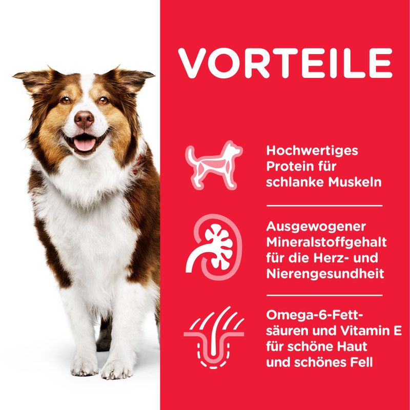 Hill's Science Plan Mature Adult 7+ Medium mit Huhn zu TOP-Preisen