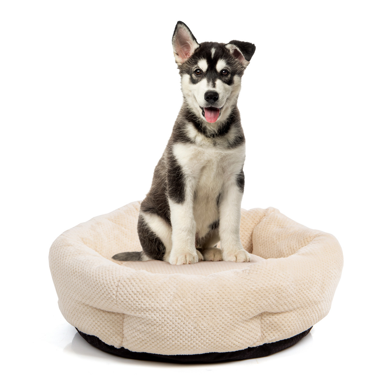 Wallace & Jones Hundebetten Wallace & Jones Hundebett Cloey M