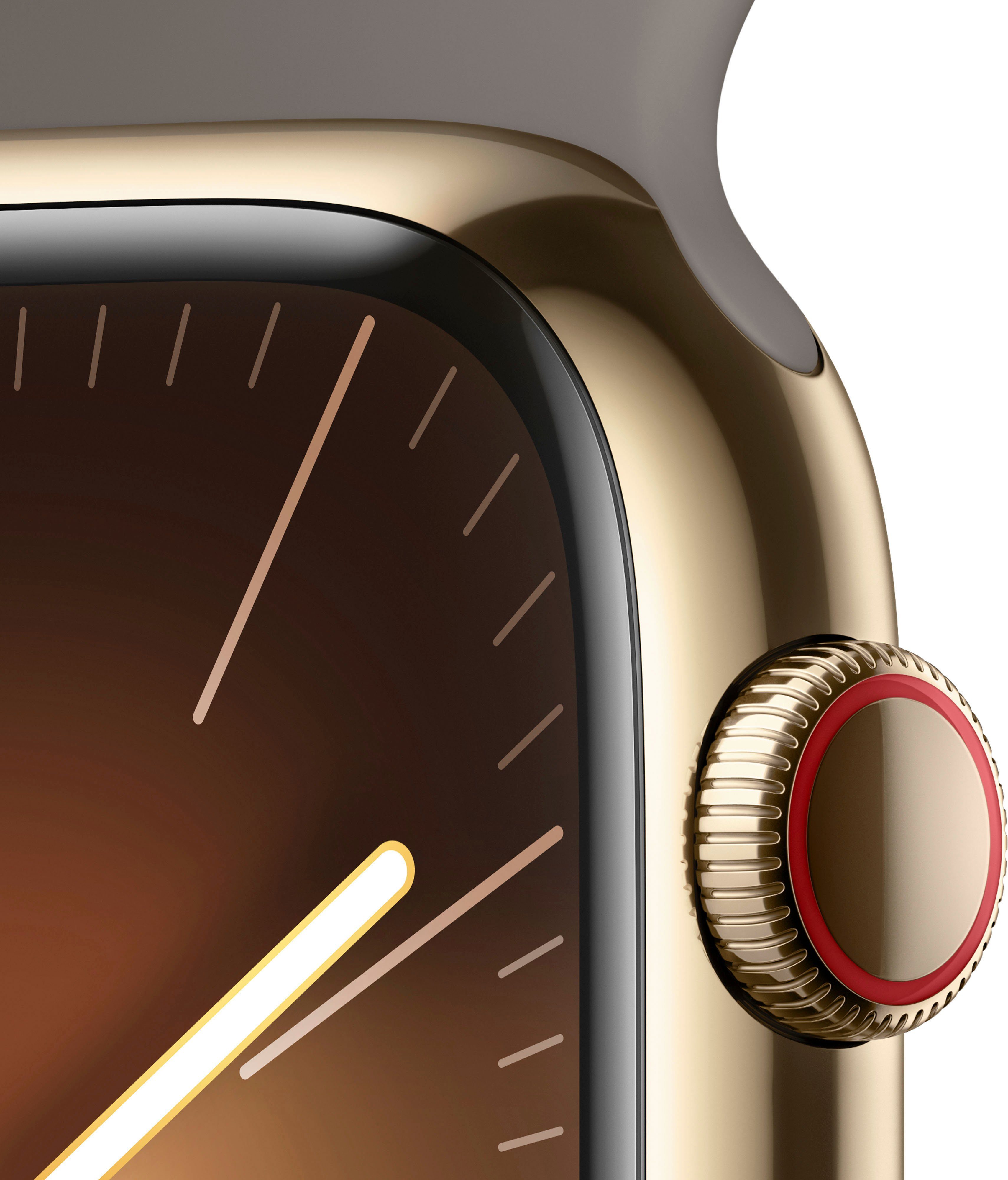 Apple Watch Series 9 GPS + Cellular Stainless Steel 45mm S/M Smartwatch (4,5 cm/1,77 Zoll, Watch OS 10), Sport Band