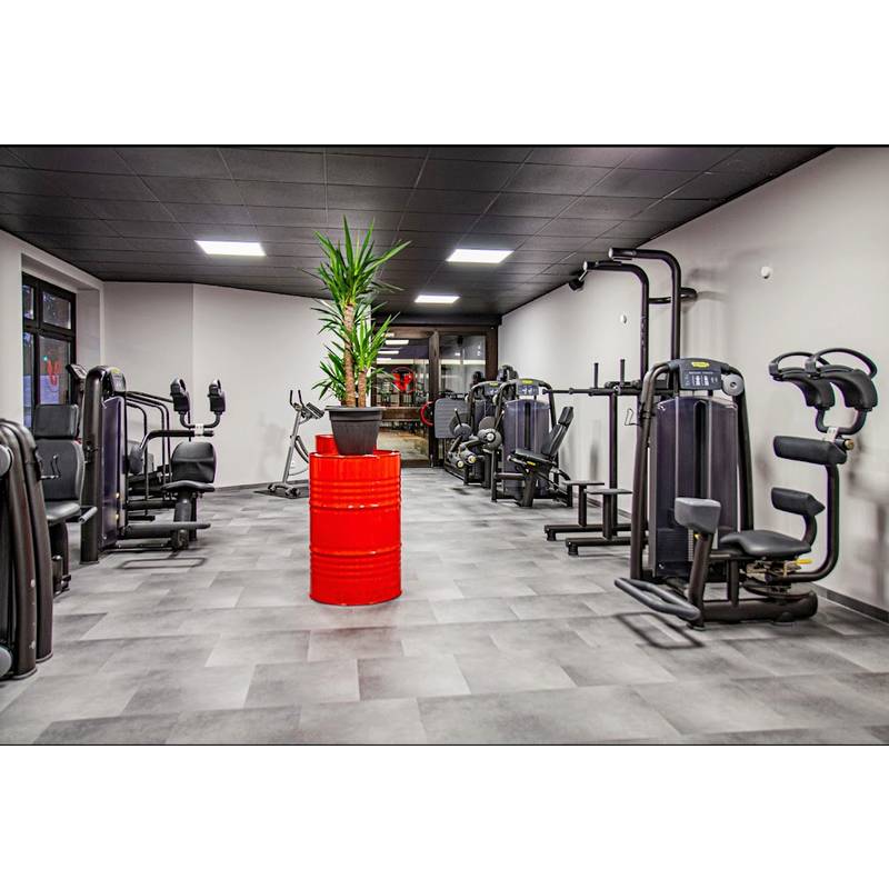 Erlebnis Viva Fitness Studioticket