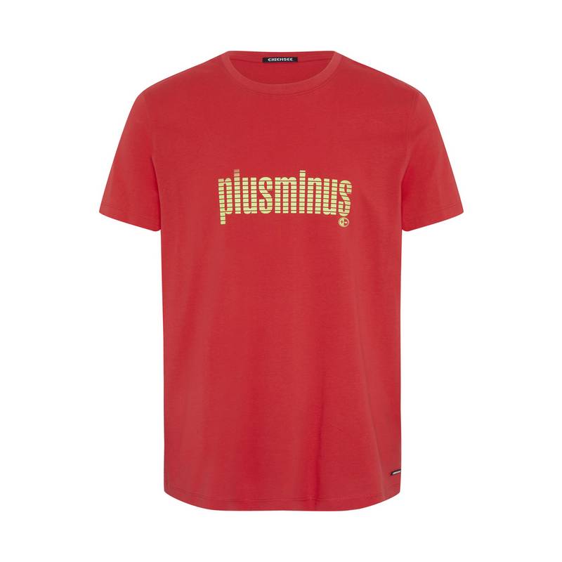 Chiemsee T-Shirt T-Shirt Herren