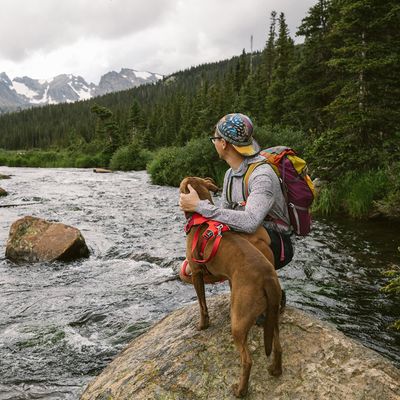 Ruffwear Front Range Hundegeschirr, Red Sumac