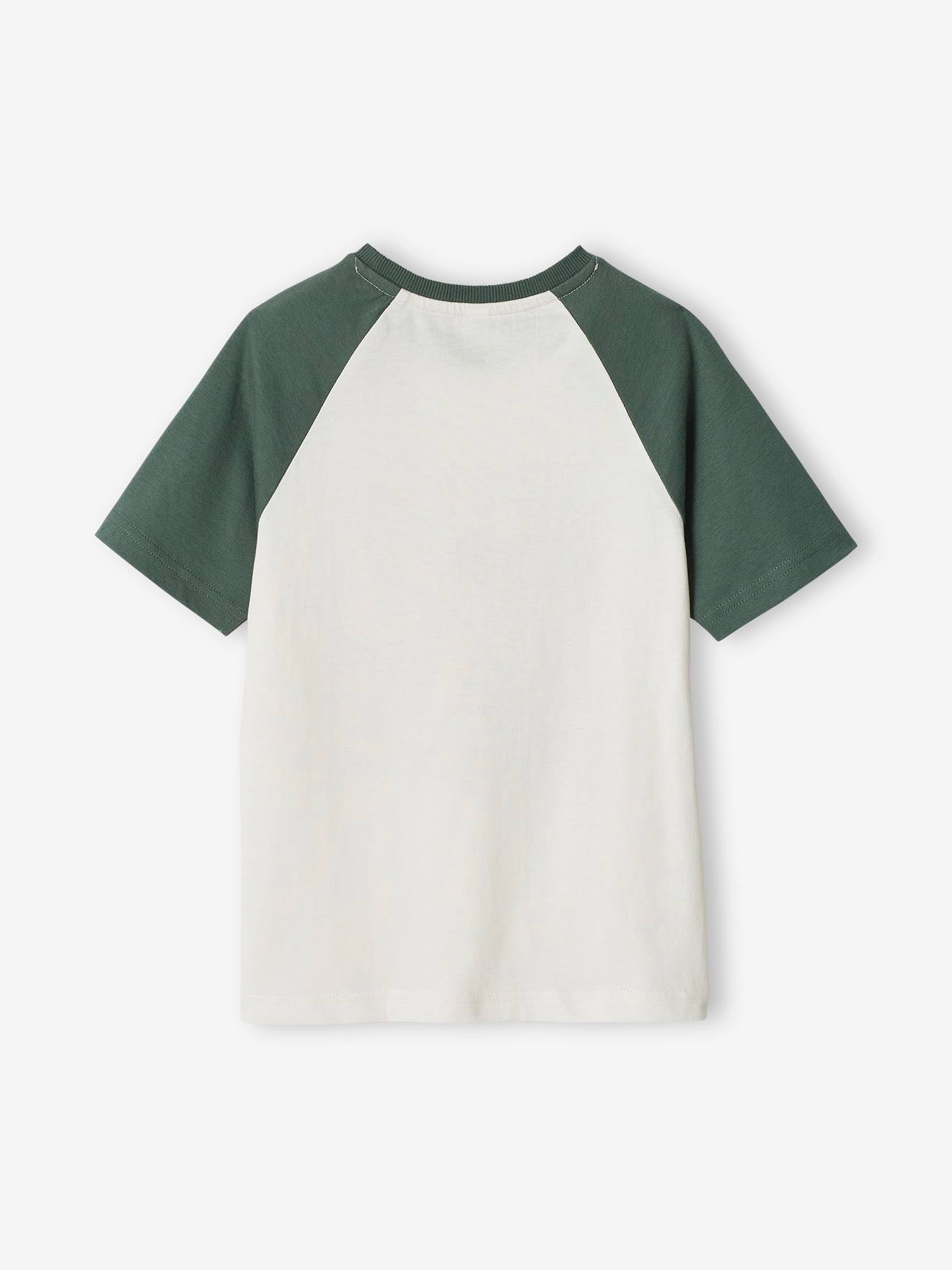 Tee-shirt motif graphique garçon manches raglan vert sauge