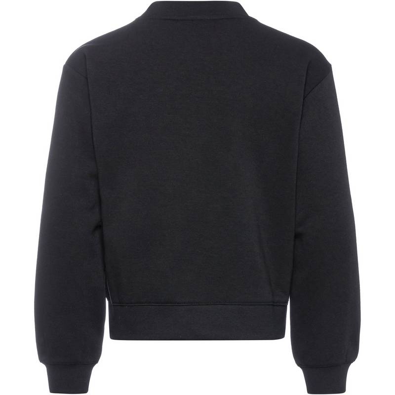 CHAMPION LEGACY AMERICAN CLASSICS Sweatshirt Mdchen