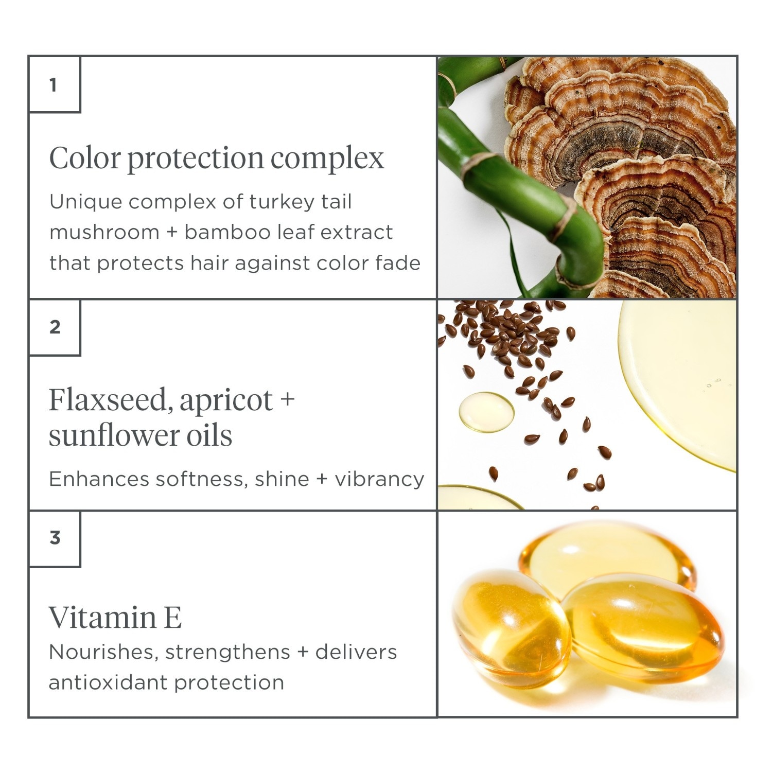 Mushroom + Bamboo Color Protect Primer