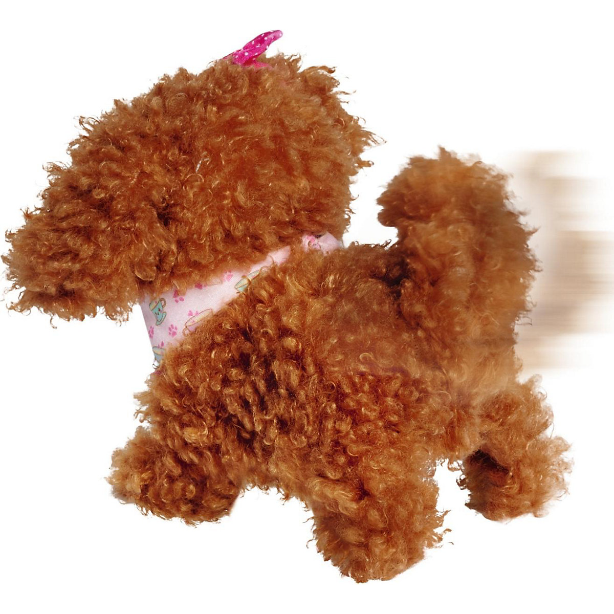 Chi Chi Love Tea Cup Poodle Puppy