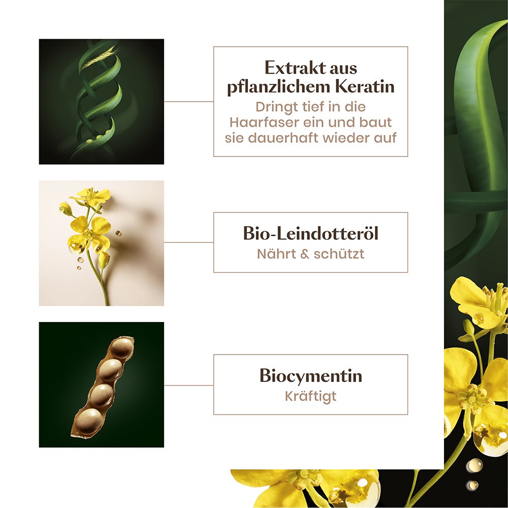 Rene Furterer Absolue Kératine Aufbauende Keratin-Maske fein-normal 200 ml