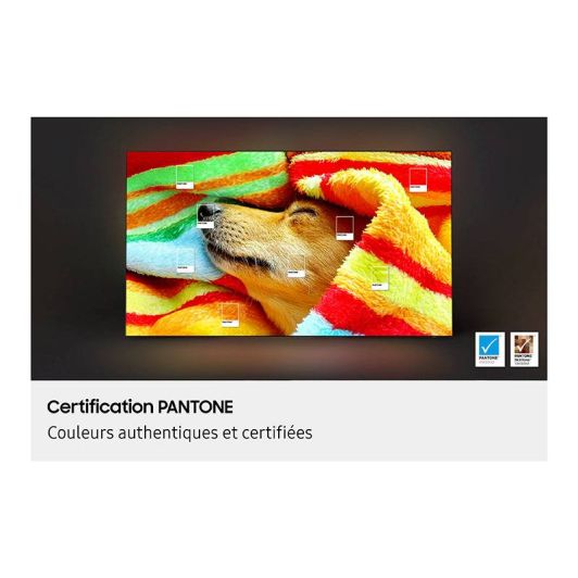 SAMSUNG QE55S82F - Televizor inteligent OLED de 55