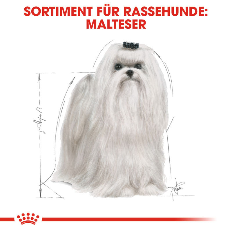 ROYAL CANIN Hundetrockenfutter ROYAL CANIN Maltese Adult 2x1,5 kg