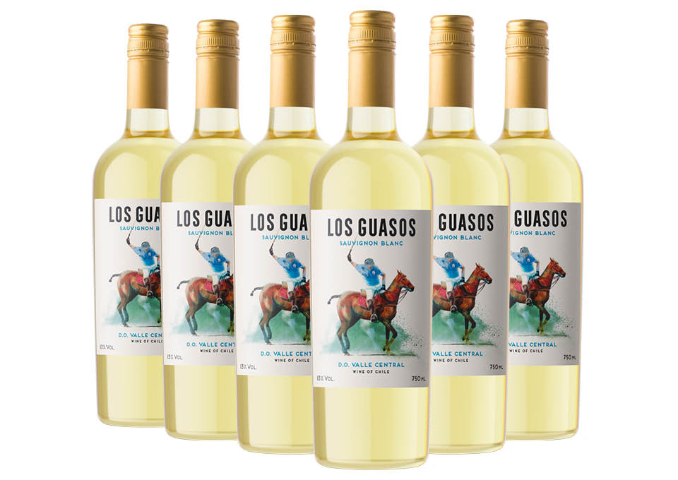 Valle Central DO Sauvignon Blanc 2021 Los Guasos 6 bouteilles de 0,75 ℓ