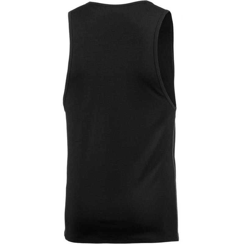 Icebreaker Anatomica Funktionsshirt Herren