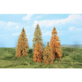 Lärchen herbstlich 14-18 cm (5)