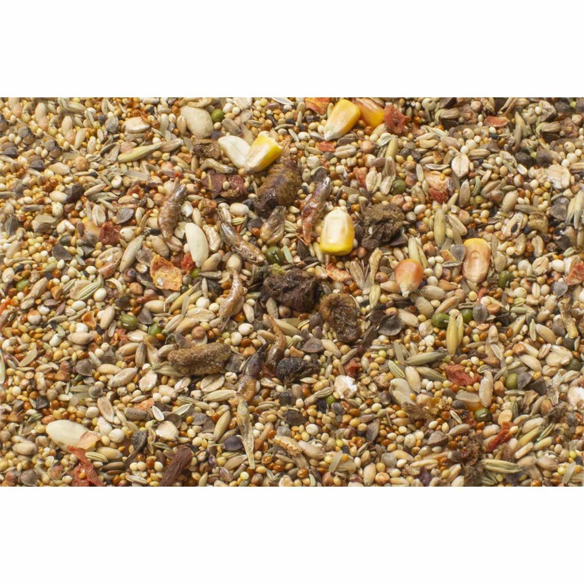 JR Farm Hamster-Schmaus 600g günstig kaufen