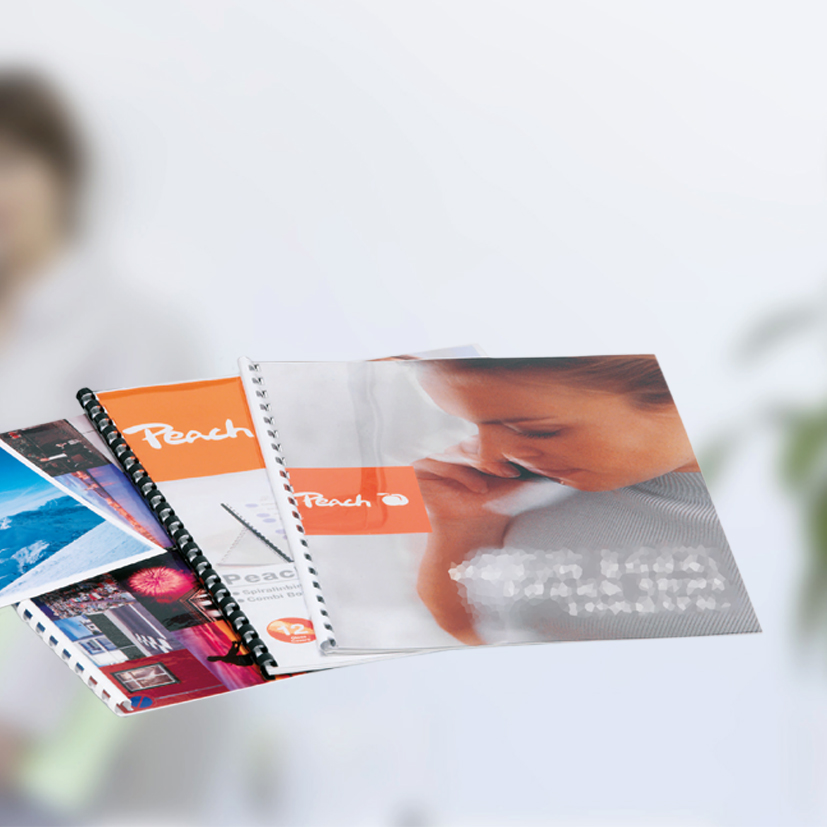 Peach Personal Binder A4 - PB200-09