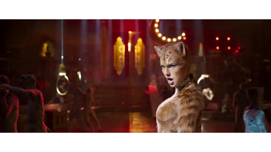 Cats