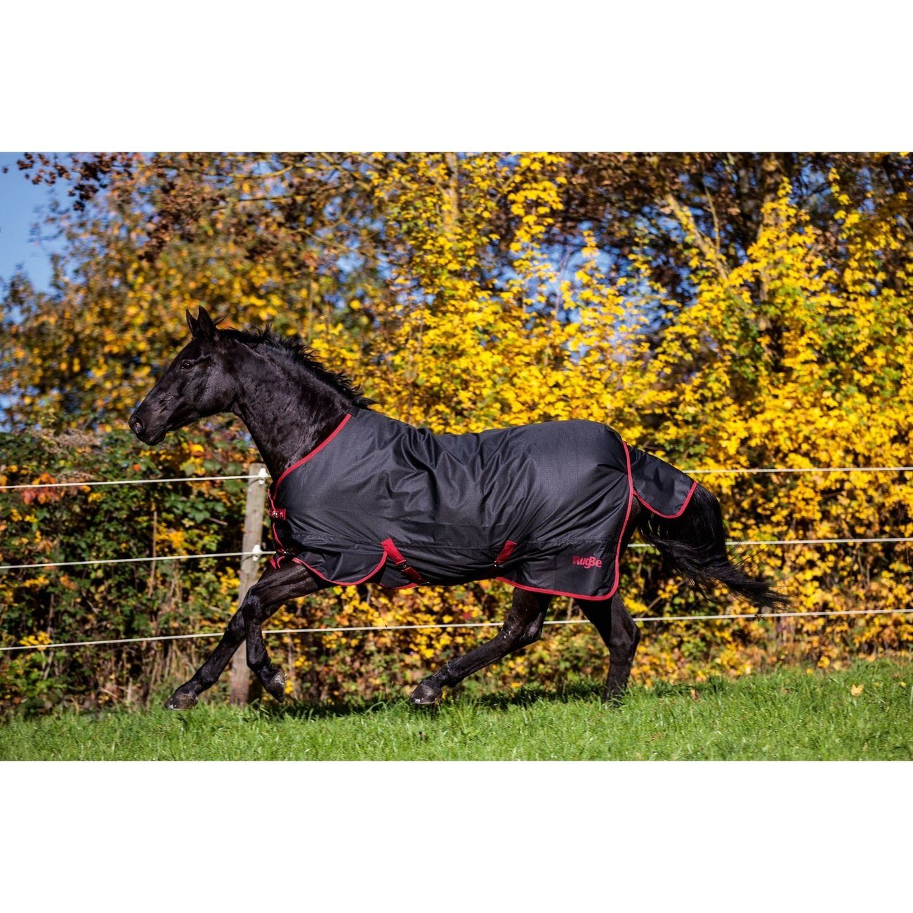 Covalliero Tierdecke Pferdedecke RugBe Outdoor Zero 1