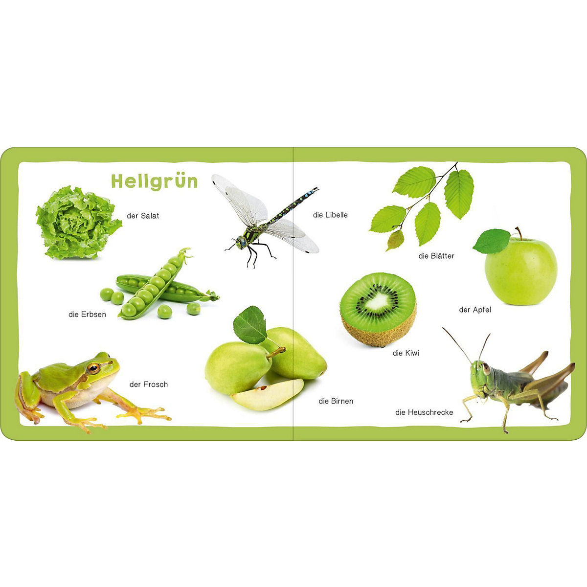 Mein erstes dickes Farbenbuch