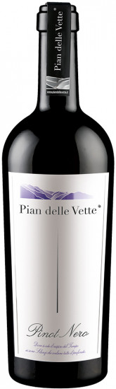 2019 Pinot Nero Vigneti delle Dolomiti IGP trocken - Pian delle Vette
