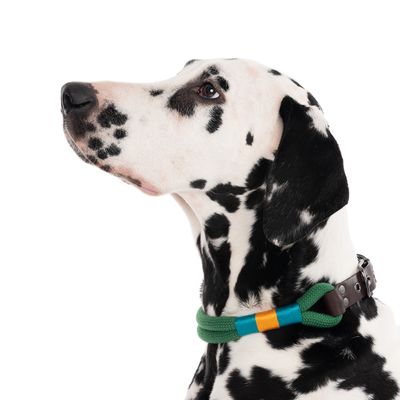 Nomad Tales Spirit Halsband, pine