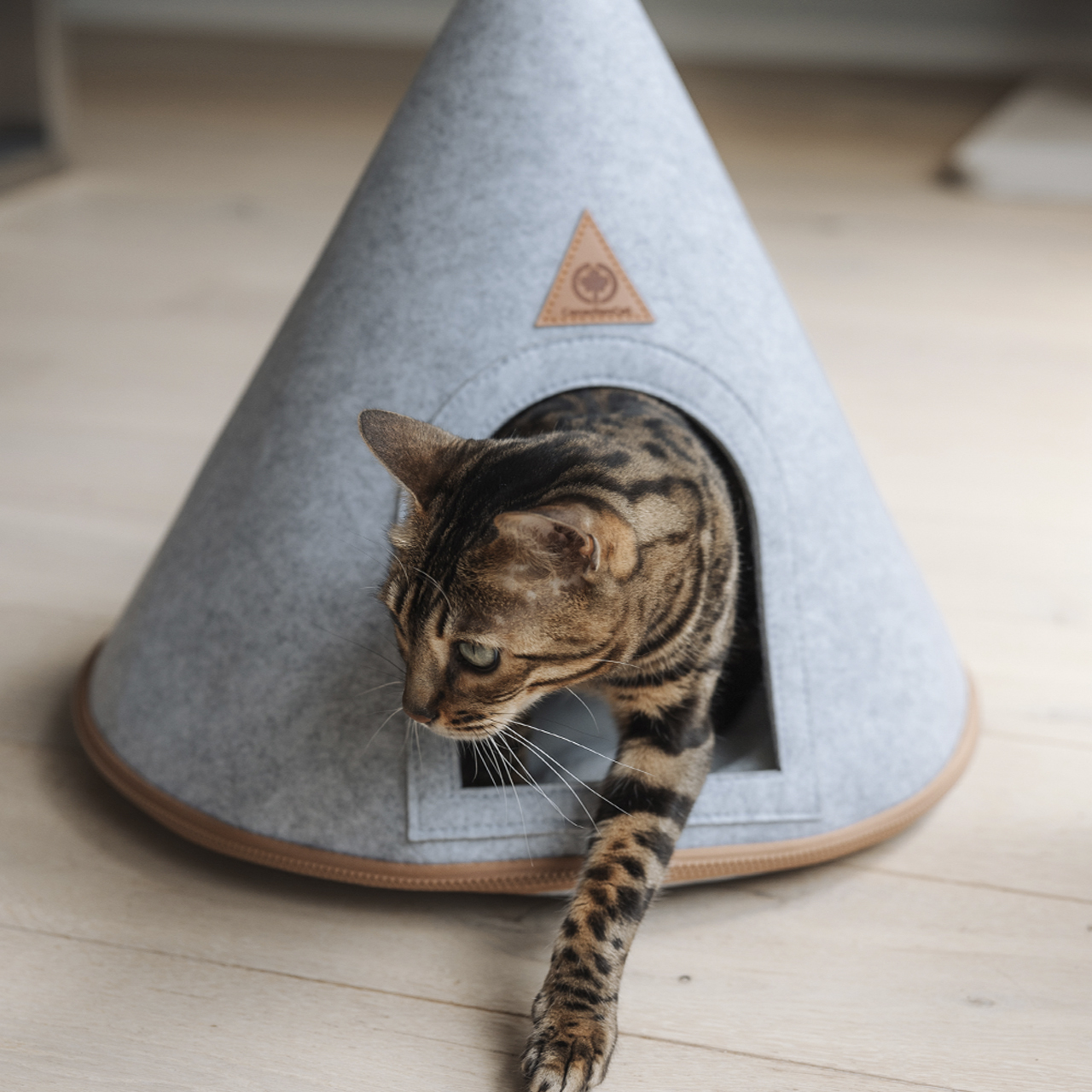 Canadian Cat Katzenhöhlen Canadian Cat Company Katzenzelt Cone