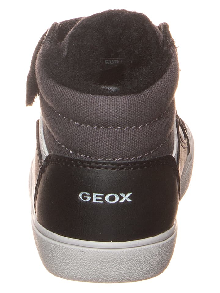 Geox Sneakers 
