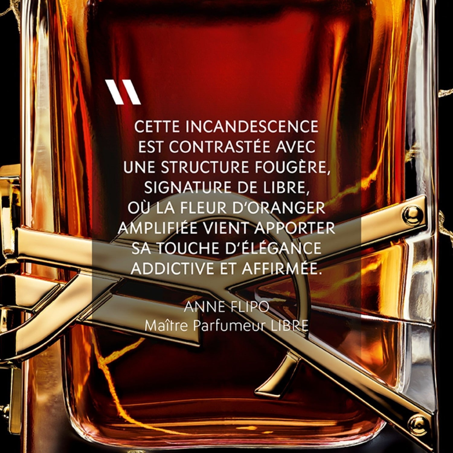Yves Saint Laurent Le Parfum