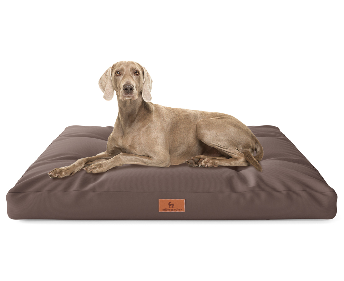 Knuffelwuff Hundebetten Knuffelwuff Hundekissen Gatsby aus Oxford-Gewebe braun XL