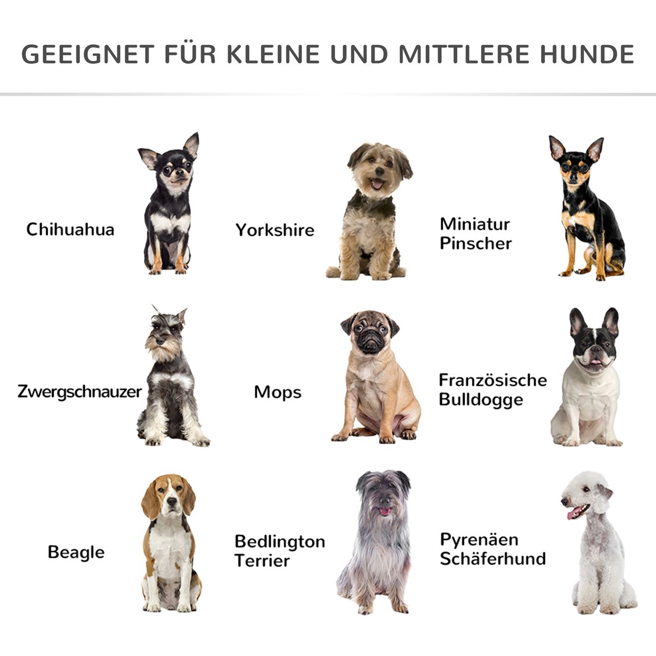 PawHut Hundeliege Outdoor erhöhtes Hundebett Haustierbett draußen Schwarz