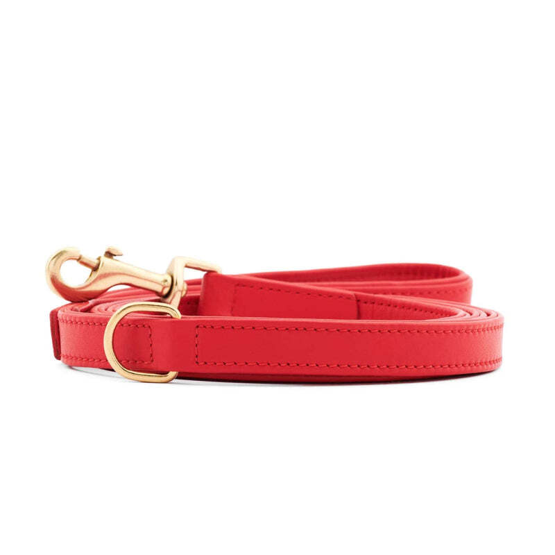 William Walker Hundeleinen William Walker 3-fach verstellbare Hundeleine Chili S-L