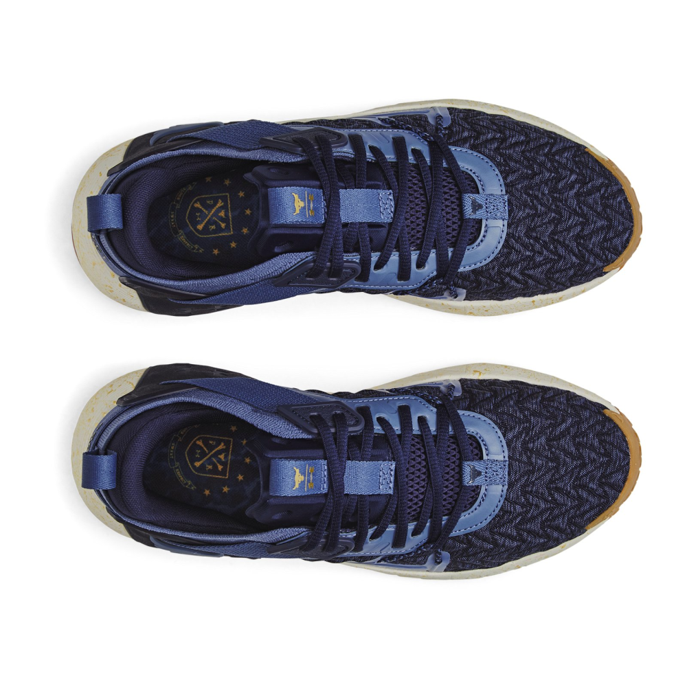Under Armour Project Rock 6 3026534-400 / blau