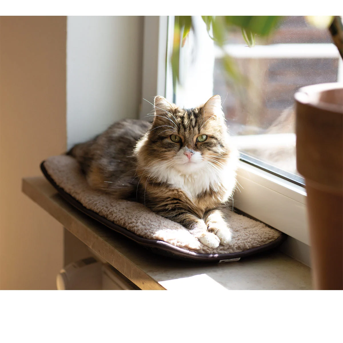 Petlando Fensterbankauflage Windowchiller kaufen