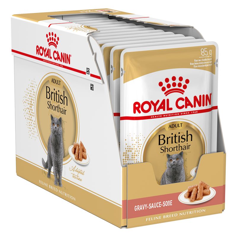 Royal Canin British Shorthair Adult in Soße