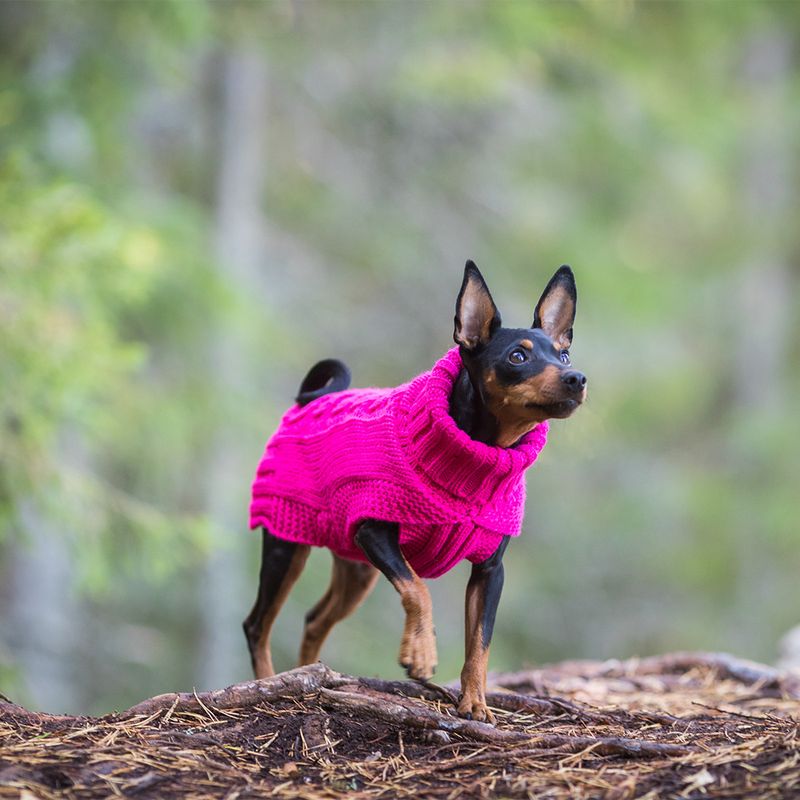 Rukka Hundepullover Wooly, himbeer zu TOP-Preisen