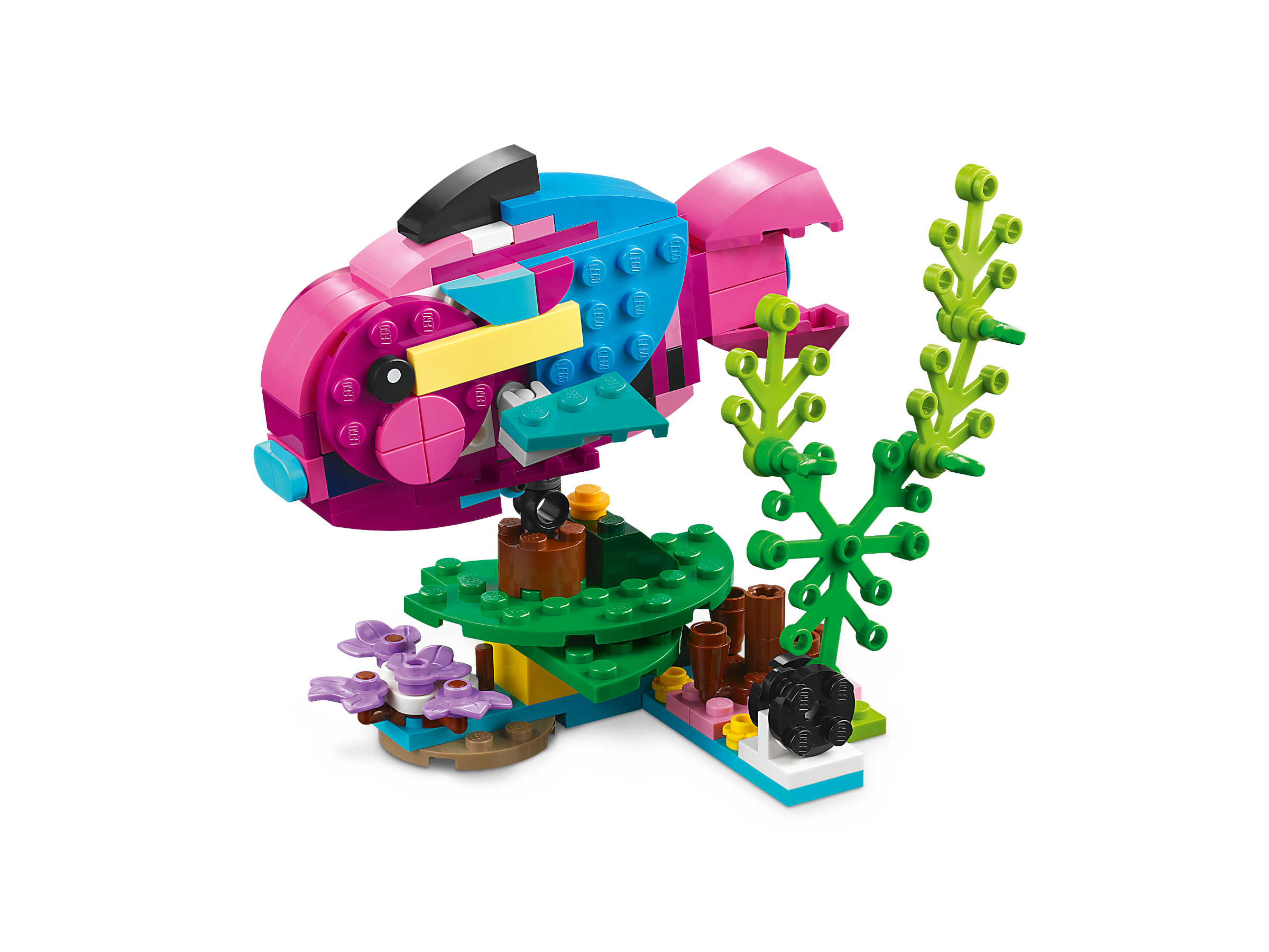 Exotischer pinkfarbener Papagei 31144