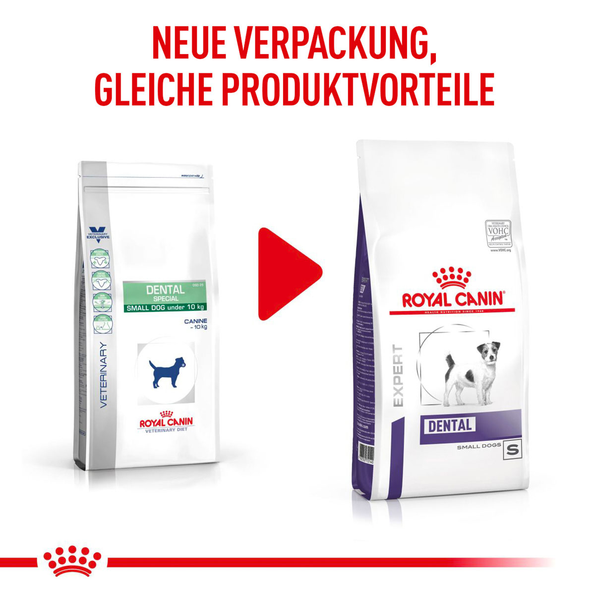 ROYAL CANIN Expert DENTAL SMALL DOGS Trockenfutter für Hunde