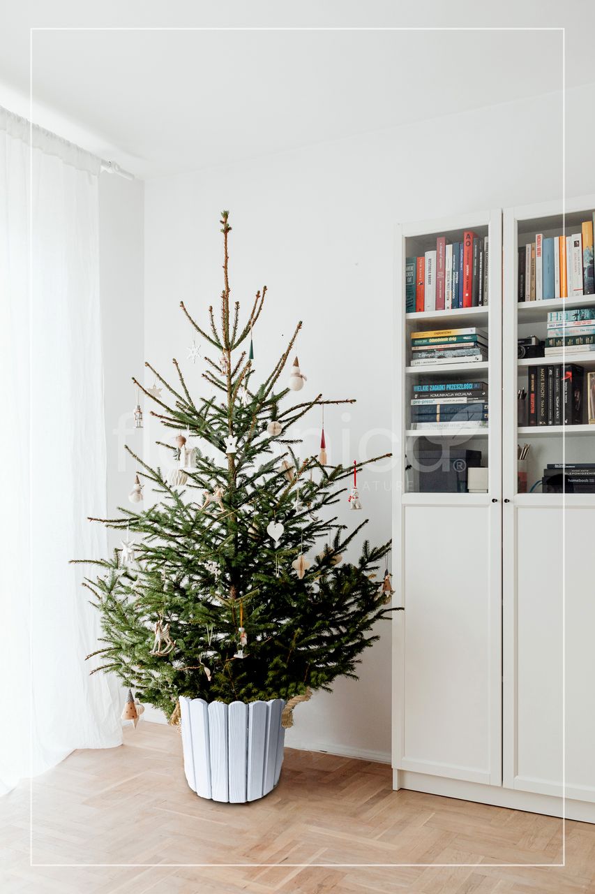 Pemicont Floranica Runder Blumentopf aus Holz 33x30cm Weiß Imprägniertes Kiefernholz Schutzhülle für Kräuter Blumen Haus- und Gartendekoration Truhe Für den Innen- und Außenbereich EU-Produkt