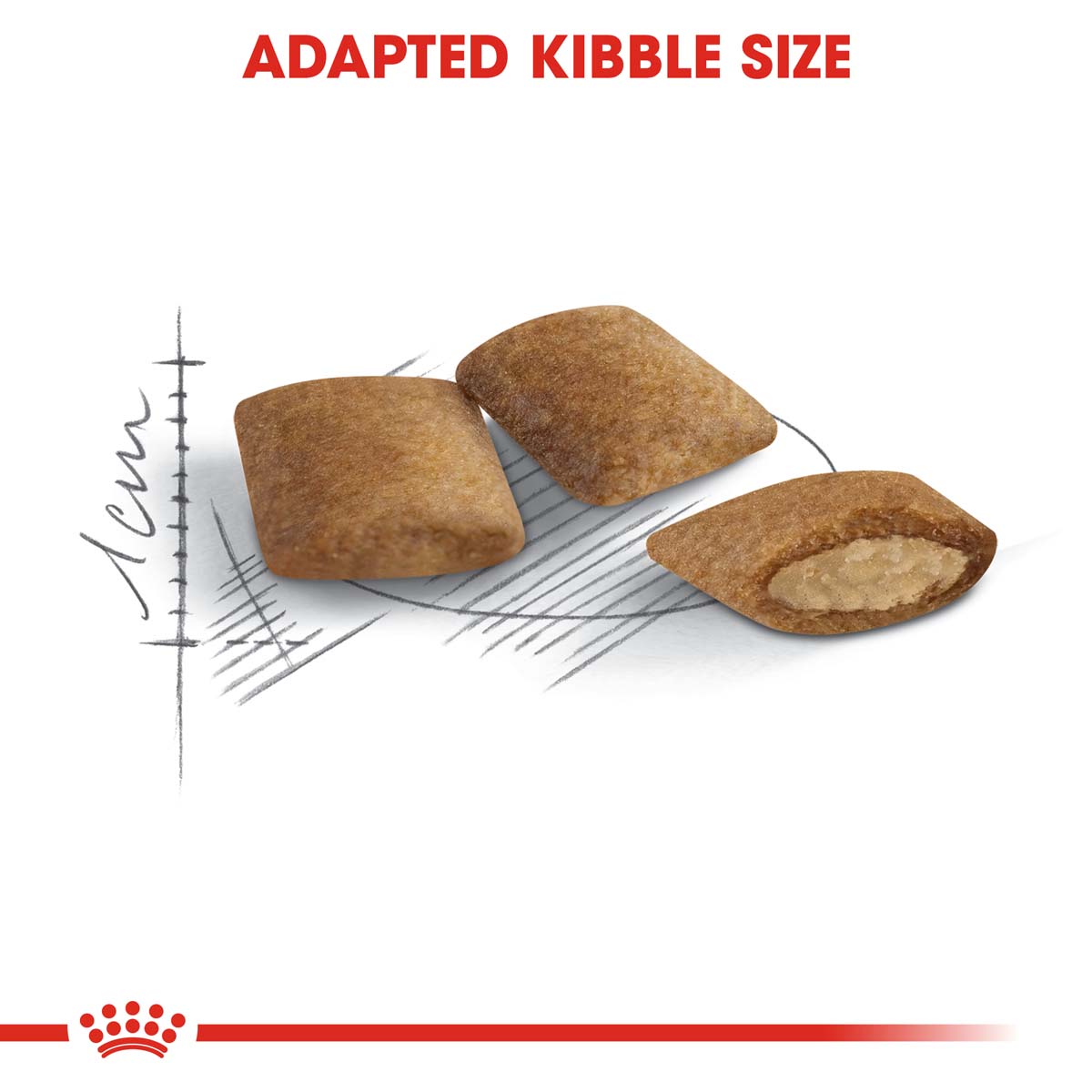 ROYAL CANIN AGEING 12+ Trockenfutter für ältere Katzen