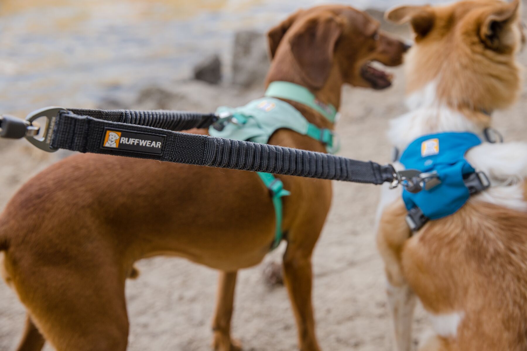 Ruffwear Hundeleinen Ruffwear Double Track™ Koppler